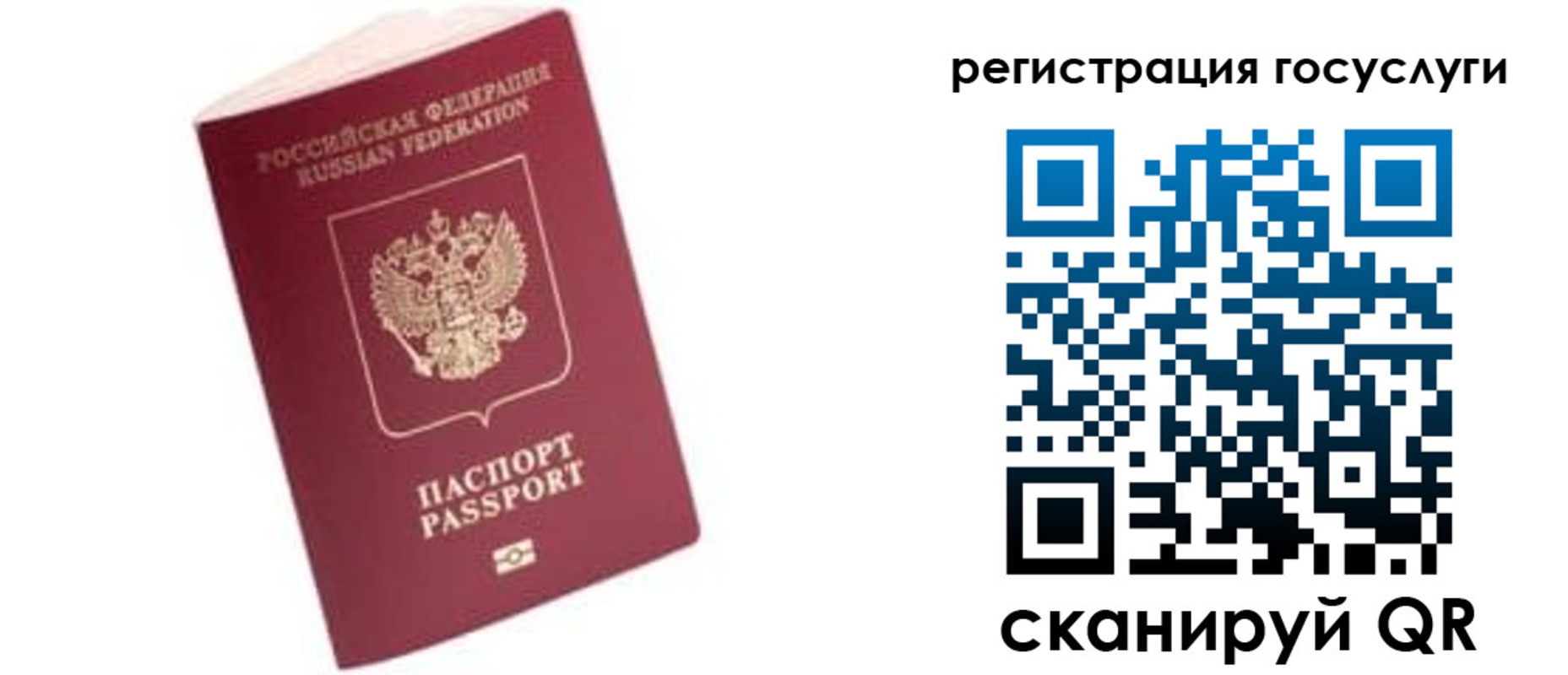 прописка поиск в Звенигороде